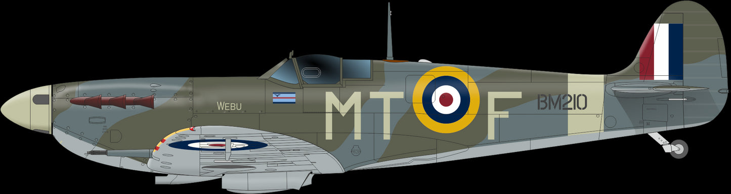 Eduard 1/48 Spitfire Mk.Vb "They Fought to Rebuild" Dual Combo Limited Edition