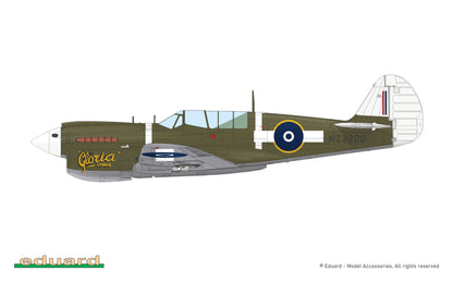 Eduard 1/48 P-40N Warhawk Royal Class Dual Combo Limited Edition