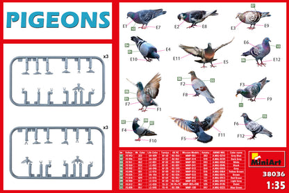MiniArt 1/35 Pigeons