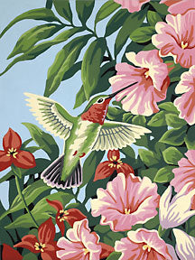 Hummingbird & Fuchsia Flowers Paint by Number