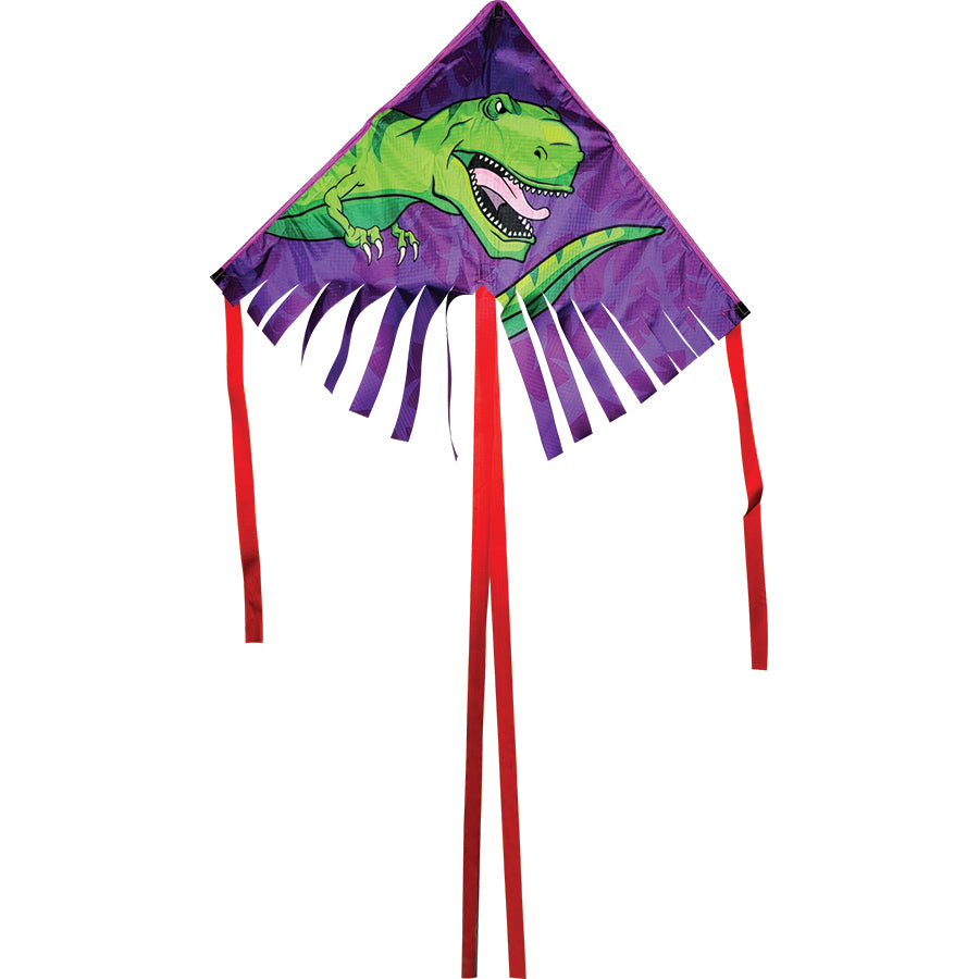 28" Fringe Delta Kite